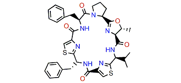 Lissoclinamide 5